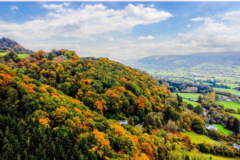 Location- click for photo gallery